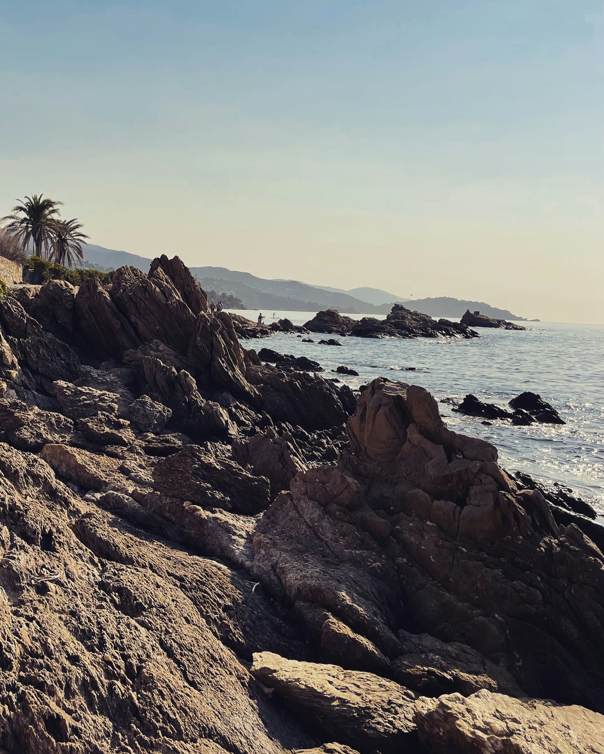 Provençal Mediterranean coastline with palm tree and rocky shore in the late afternoon — the western register of the Riviera that Vadim and Bardot turned into Saint-Tropez on film in 1956.