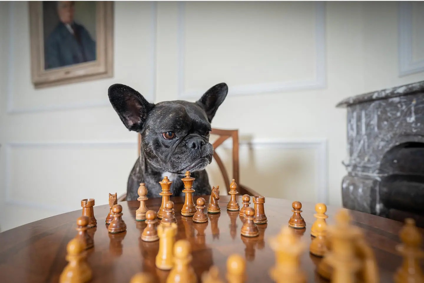 Badrutt's Palace — dogs and chess